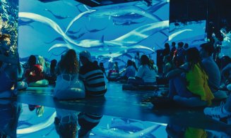 Museum of Immersive New Art lansează ediția itinerantă MINA Pop-Up, proiect care debutează în Cluj-Napoca, la Iulius Mall