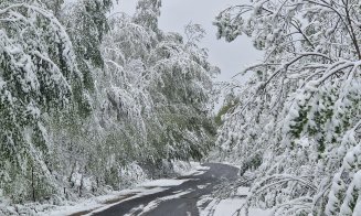 Cluj: Iarnă surprinzătoare în aprilie! Ninge ca-n povești la munte / "Ați băgat în dulap săniuțele și schiurile?"