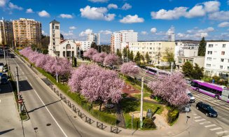 Primăvară minunată la Cluj-Napoca
