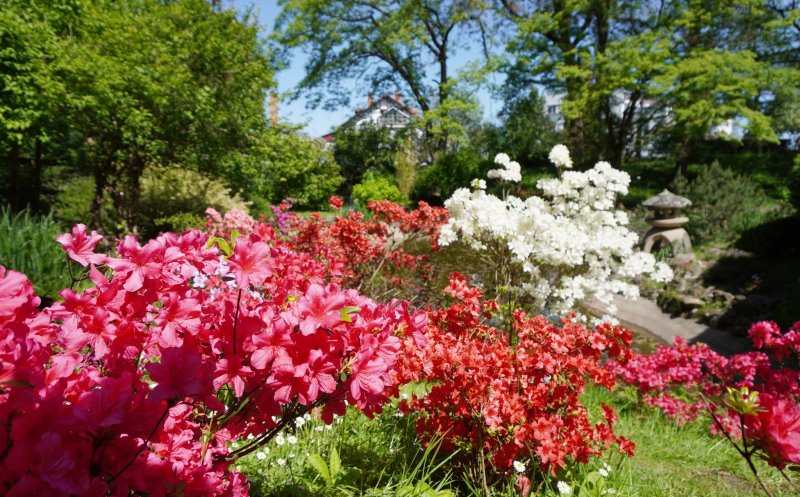 Grădina Botanică se transformă într-un loc fermecat de Paște: Evenimentul pe care nu vrei să-l ratezi!
