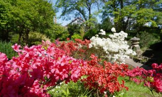 Grădina Botanică se transformă într-un loc fermecat de Paște: Evenimentul pe care nu vrei să-l ratezi!