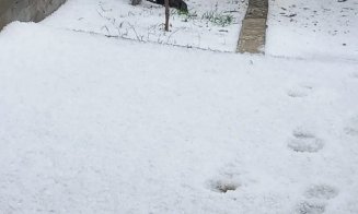 Maşini luate de viitură în prima zi de Paşte / Avertizare RO Alert: Cod portocaliu de averse torențiale