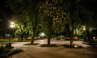 Cluj-Napoca: Parada castanilor înfloriți în Piața Ștefan Cel Mare