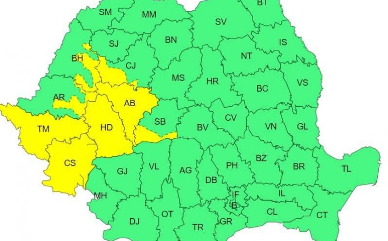 Cod GALBEN de ploi în zona montană a Clujului