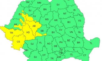 Cod GALBEN de ploi în zona montană a Clujului