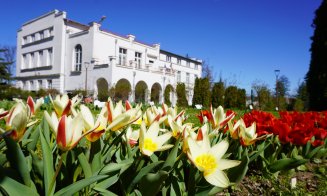 Record de vizitatori înregistrat la grădina botanică din Cluj! Mii de fire de lalele, narcise și zambile așteaptă încă să fie admirate