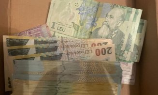 Captură impresionantă a polițiștilor clujeni: peste PATRU tone de substanțe și 12 persoane reținute
