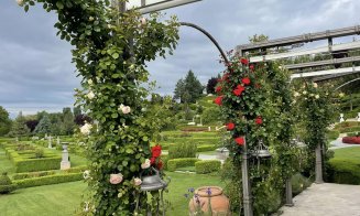 Toscana din Ardeal, la 2 ore de Cluj-Napoca. Grădinile spectaculoase în stil renascentist, care adună mii de turiști
