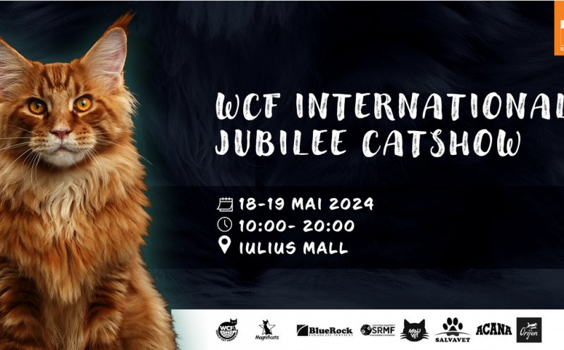 100 de pisici din rase deosebite vor participa în acest weekend, în Iulius Mall Cluj, la ediția jubiliară a WCF International Cat Show