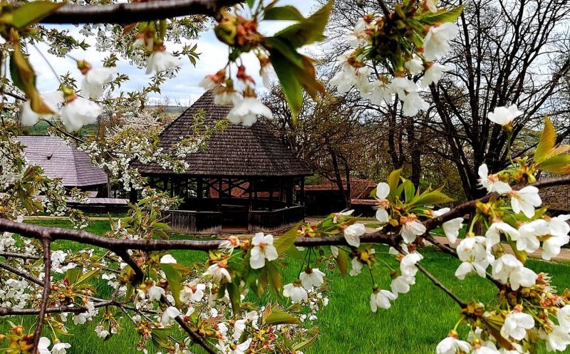 Festival de primăvară, în Parcul Etnografic „Romulus Vuia” din Cluj