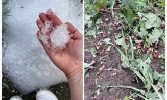 Furtuna a făcut ravagii în Cluj: Grindina a distrus plantații de fructe și un an de muncă pentru o afacere de familie în doar 30 de minute