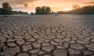 Ziua Mediului. O treime din România şi 40% din suprafaţa agricolă, în zone cu risc de deşertificare