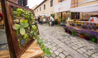 Piața de flori „altfel” din Cluj-Napoca revine pe Potaissa cu plante, muzică și dezbateri