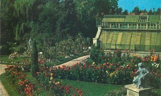 Vechiul Cluj: Grădina Botanică