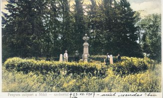Vechiul Cluj: Grădina Botanică