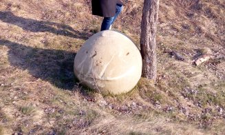 ”Pietrele vii”, o ciudățenie a naturii, inclusiv la Cluj