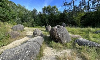 ”Pietrele vii”, o ciudățenie a naturii, inclusiv la Cluj