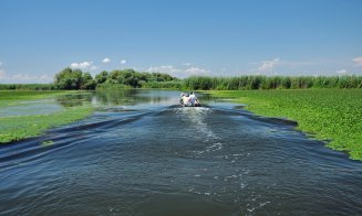 Veste bună pentru turiștii care merg în Deltă. O cursă va fi suplimentată pe Dunăre. Care e ruta și până când va circula