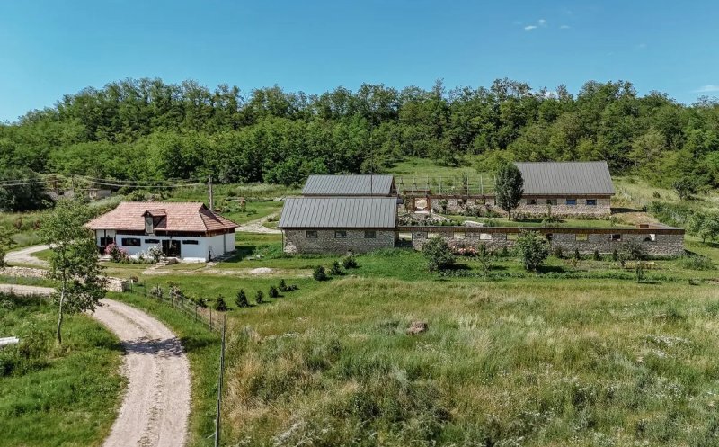 Proprietate din Cluj, la marginea pădurii, de vânzare. Care este prețul
