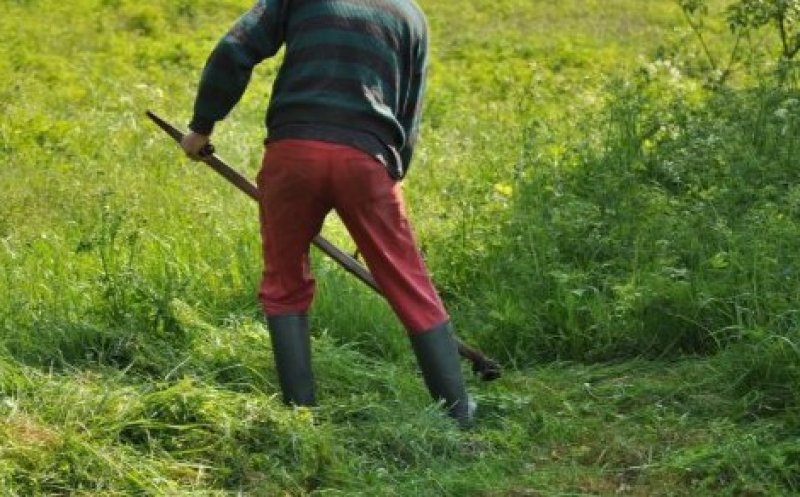Caz șocant într-o localitate din Cluj. Bărbat lovit în cap de un vecin pentru că ar fi cosit un petic de iarbă de pe pământul acestuia