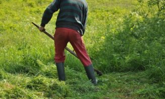 Caz șocant într-o localitate din Cluj. Bărbat lovit în cap de un vecin pentru că ar fi cosit un petic de iarbă de pe pământul acestuia