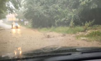 Furtuna a făcut ravagii în Cluj: Bucăți de acoperiș smulse, inundații și copaci doborâți