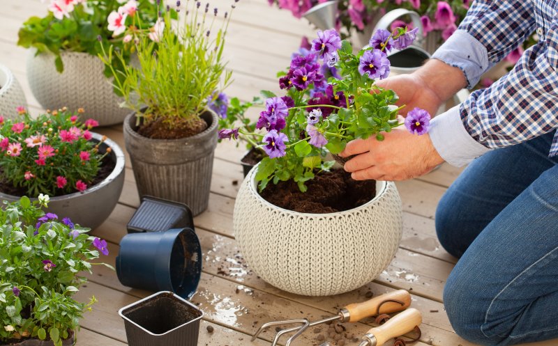 Ghivece pentru flori: tipuri, utilizări, idei și sfaturi de decor