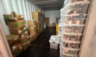 Cetățeni străini arestați pentru trafic de substanțe dopante. Sute de colete trimise prin firme de curierat