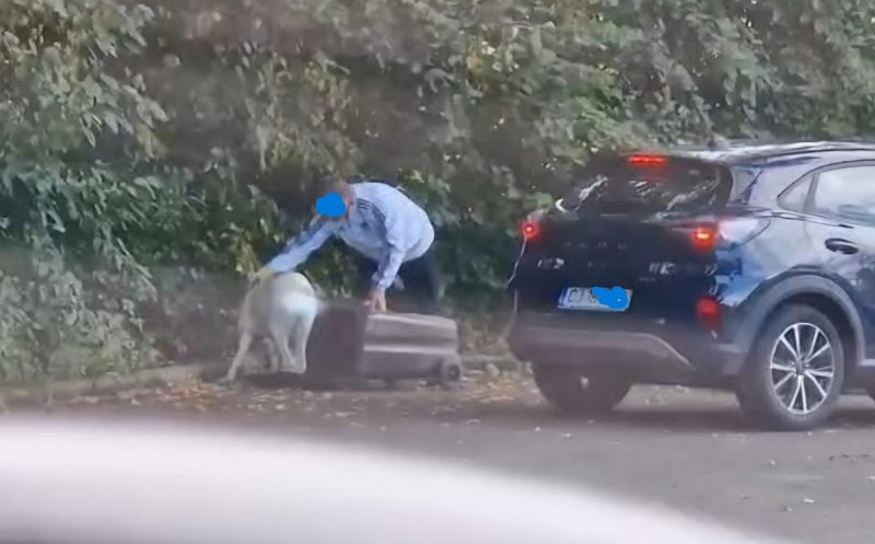 Caz șocant: Un șofer cu numere de Cluj și-a abandonat câinele pe marginea unui drum, după ce l-a băgat într-un tomberon