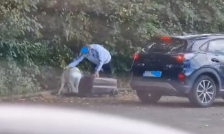 Caz șocant: Un șofer cu numere de Cluj și-a abandonat câinele pe marginea unui drum, după ce l-a băgat într-un tomberon