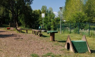 Cluj-Napoca: aparate de mișcare și antrenament pentru căței în cartiere