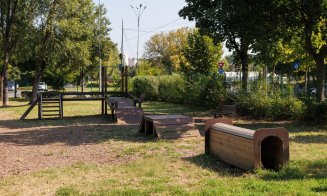 Cluj-Napoca: aparate de mișcare și antrenament pentru căței în cartiere