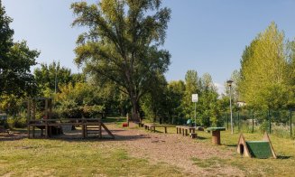 Cluj-Napoca: aparate de mișcare și antrenament pentru căței în cartiere