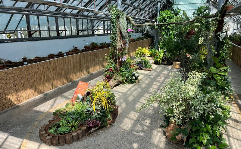 Grădina Botanică „Al. Borza” găzduiește o expoziție de plante carnivore
