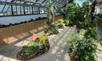 Grădina Botanică „Al. Borza” găzduiește o expoziție de plante carnivore