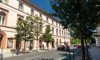 3.769 arbori cu balot au fost plantați la Cluj-Napoca în perioada 2023-2024