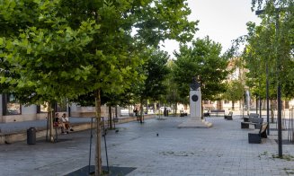 3.769 arbori cu balot au fost plantați la Cluj-Napoca în perioada 2023-2024