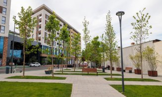 3.769 arbori cu balot au fost plantați la Cluj-Napoca în perioada 2023-2024