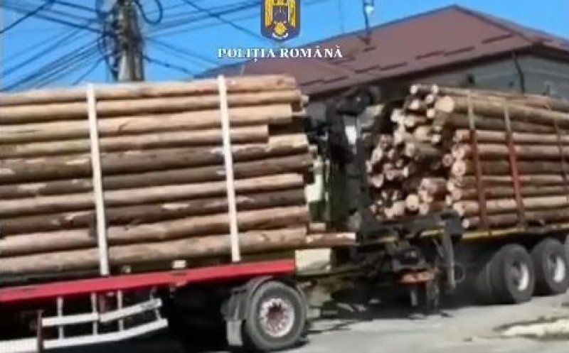 Cluj: Camion cu lemne de peste 300.000 de lei fără acte, tras pe dreapta după o sesizare la 112