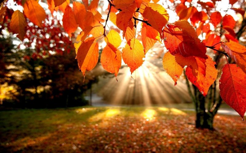 Temperaturi peste cele obişnuite, până aproape de sfârşitul lunii septembrie / Când şi unde va ploua