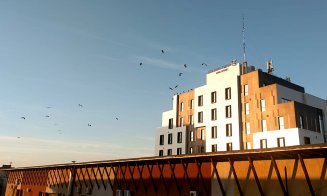 Teren de antrenament de 4 stele pentru zeci de berze care îşi pregătesc puii pentru prima lor călătorie spre ţările calde