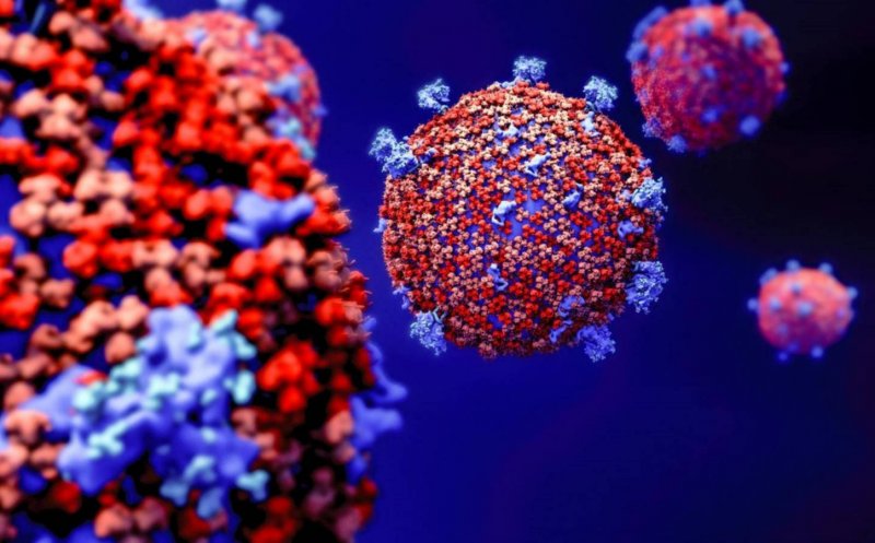 A fost descoperit un aticorp care poate proteja împotriva tuturor variantelor de coronavirus
