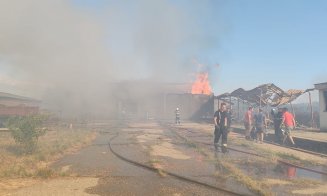 Incendiu de vegetaţie scăpat de sub control, în Maramureș: 7 case şi un rezervor de motorină au fost afectate / La acțiunile pompierilor participă și ISU Cluj