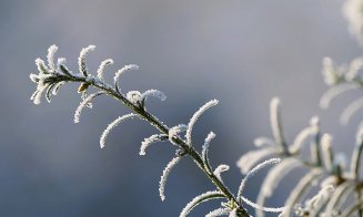 Sub zero grade Celsius la început de toamnă / Temperatura la Cluj în prima zi de şcoală