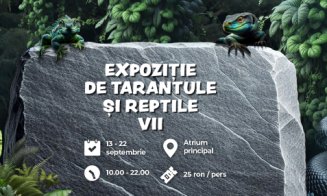 70 dintre cele mai cunoscute exemplare de tarantule, șerpi și alte specii de reptile pot fi admirate în Iulius Mall Cluj!