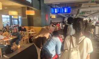 ”La capătul puterii şi răbdării. Zburăm cu WizzAir, iar impredictibilitatea e totală”: Peste 10 ore întârziere la cursa Basel - Cluj-Napoca