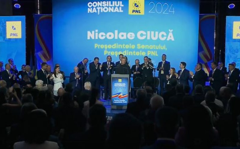 Nicolae Ciucă a fost desemnat candidat la prezidenţiale din partea PNL