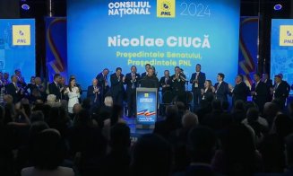 Nicolae Ciucă a fost desemnat candidat la prezidenţiale din partea PNL