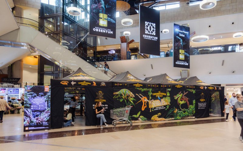 Pitoni, boa constrictor, țestoase aligator și tarantule gigant sunt atracțiile ce pot fi văzute în cadrul expoziției din Iulius Mall Cluj până duminică