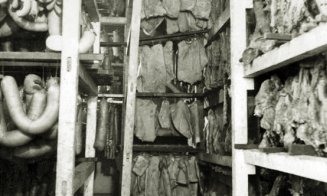 Imagini inedite din vechiul Cluj - Abatorul, anii 1941-1943